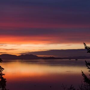 Meet your Posher, Beverly